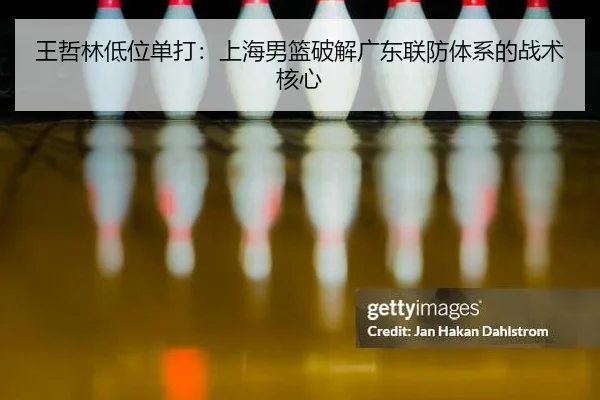 wang-zhe-lin-di-wei-dan-da-shang-hai-nan-lan-po-jie-guang-dong-lian-fang-ti-xi-de-zhan-shu-he-xin-2-793.jpg